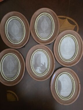 Set of 6 Oval Rustic Picture Frames in Terracotta Brown with Beaded Trim
